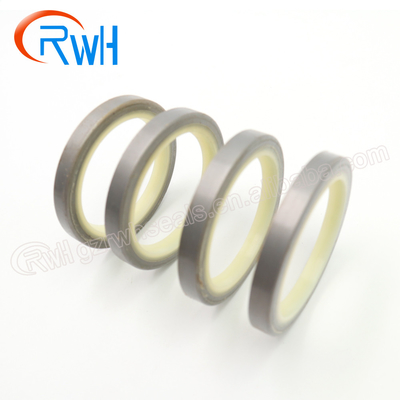 DLI-Staub-Beweis-Dichtung, hydraulischer Kolben Rod Seal Weißmetall PUs